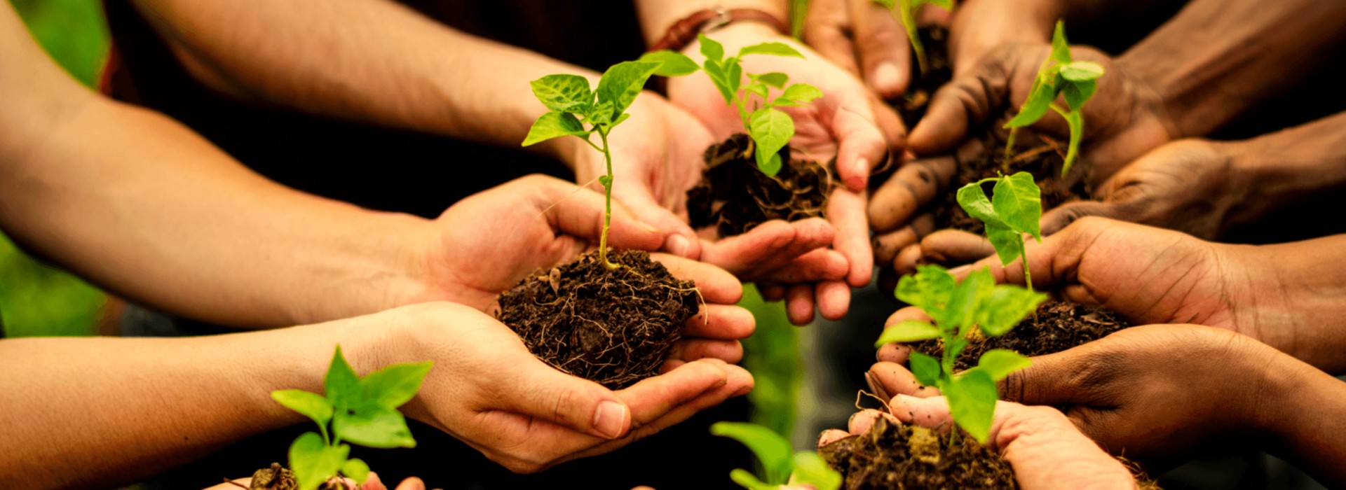 planting_event_image