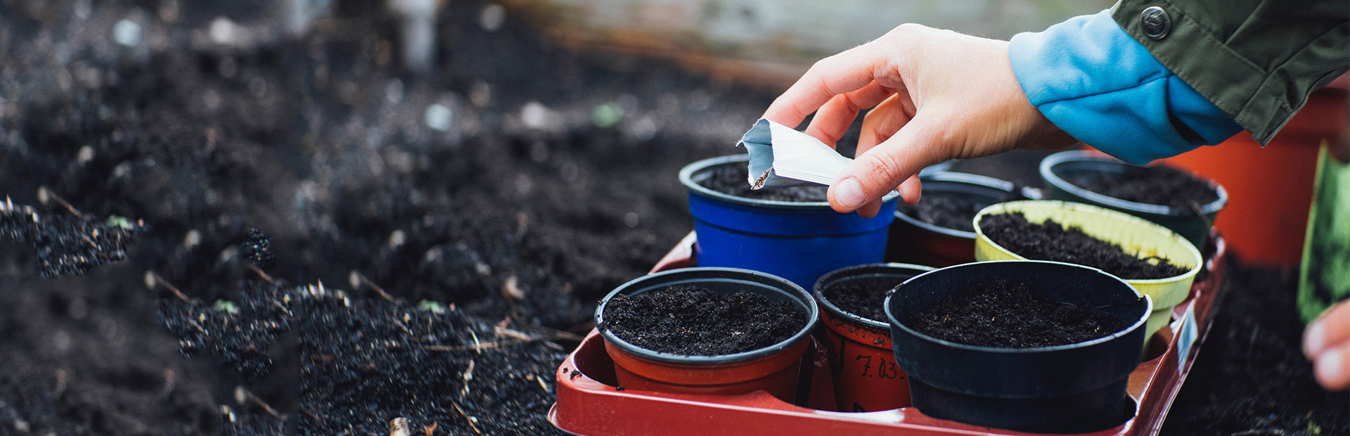 planting_project_image